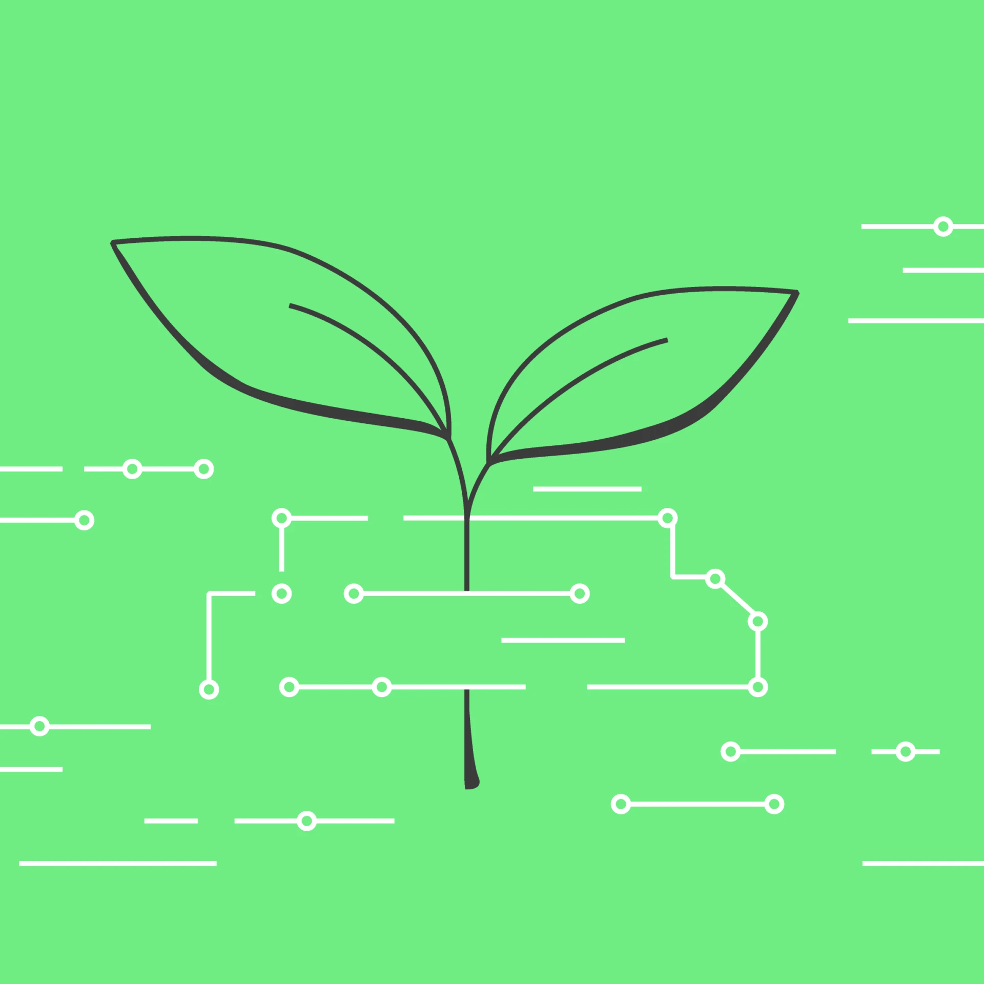 Cloud Sustainability: How Can Cloud Computing Help Build a Greener IT Landscape?